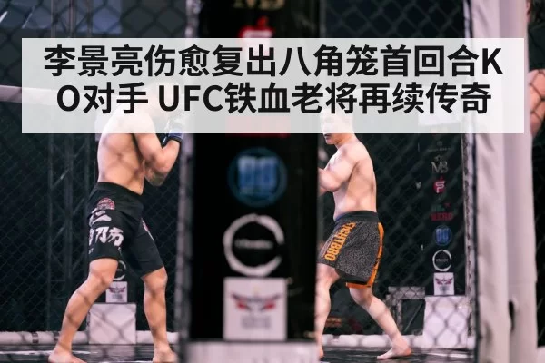 MMA octagon cage fight