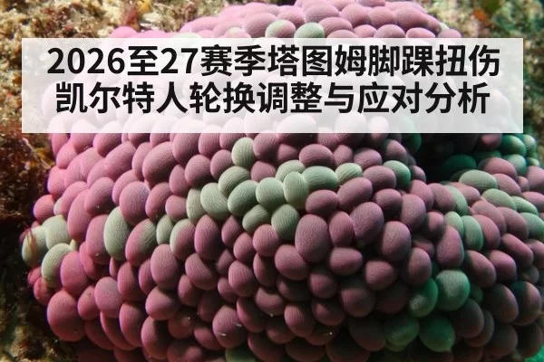 2026至27赛季塔图姆脚踝扭伤凯尔特人轮换调整与应对分析